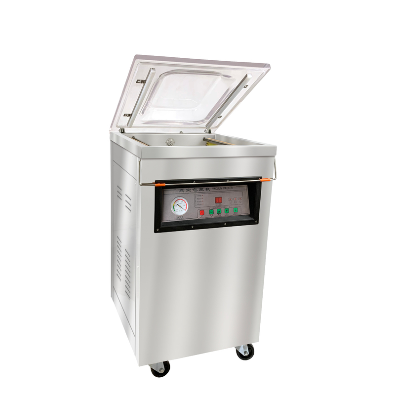 Máquina de embalaje al vacío de 220/110V DZ-400 para mariscos, carne, pescado, carne de cerdo, carne de res y arroz